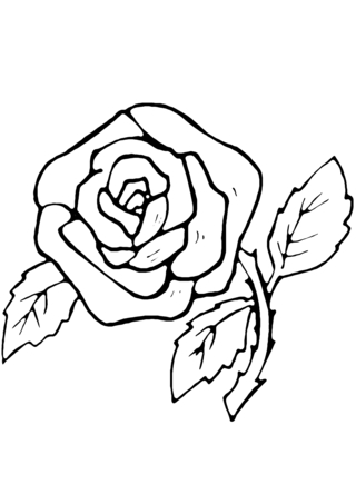 Rose 07 - Coloriages fleurs, fruits et légumes - Coloriages - 10doigts.fr