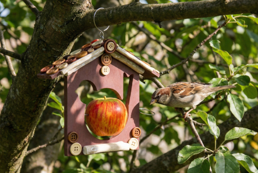 mangeoire oiseau jardin DIY - Activités manuelles sur le thème de la nature pour les enfants - 10doigts.fr - 2