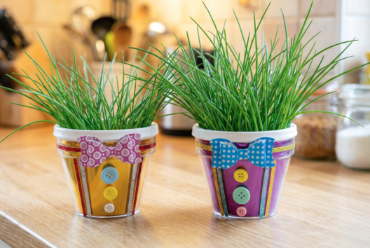 pot ciboulette cadeau fête des pères - Activités manuelles fête des pères - 10doigts.fr