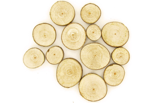 Rondins de bois à décorer - Accessoires en bois - 10doigts.fr