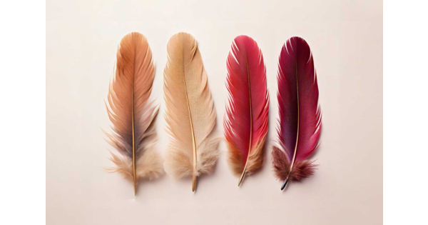 300 Plumes Colorées Naturelles 5-15cm - Décoration Artisanat Mariage Anniversaire Fête