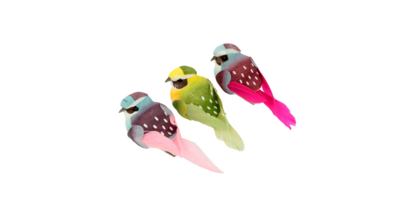Assortiment de deux oiseaux décoratifs sur clips