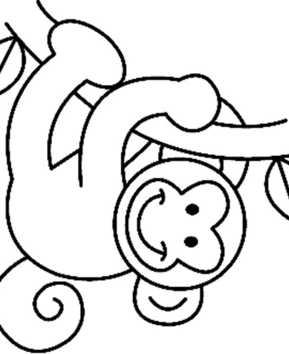 Singe08 - 10doigts.fr