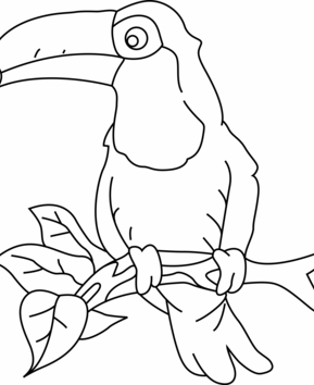 Toucan03 - 10doigts.fr