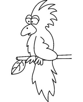 Toucan04 - 10doigts.fr