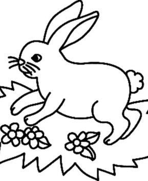 Lapin n17 - 10doigts.fr