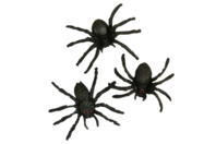 Araignées noires - 10 pièces - Accessoires d'Halloween - 10doigts.fr