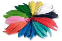 Plumes indiennes multicolores - Set d'environ 460 plumes - Plumes - 10doigts.fr