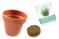 Ciboulette en pot - kit pour 12 réalisations - Graines à planter - 10doigts.fr