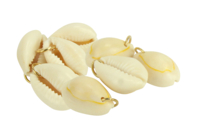 Coquillages avec anneaux - 8 coquillages - Bijoux indiens - 10doigts.fr