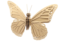 Papillon à assembler - Maquettes en carton - 10doigts.fr