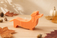 Moule thermoformé teckel  - Moules pour bougies - Bougie - 10doigts.fr