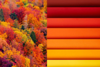 Papiers couleurs d'automne - 50 x 70 cm  - Papiers Grands Formats - 10doigts.fr