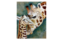 Peinture au numéro "Girafes" - 30 x 40 cm - Peinture par numéros - 10doigts.fr