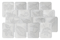 Plaques dessin relief feuilles d'arbres - Set de 16 - Plaque relief - 10doigts.fr