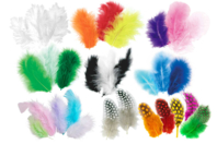 Plumes camaïeu de couleurs au choix - environ 50 plumes - Plumes décoratives - 10doigts.fr