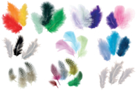 Plumes camaïeu de couleurs au choix - Set d'environ 50 plumes - Plumes - 10doigts.fr