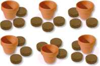 Set horticulteur comprenant 6 pots en terre cuite + 12 pastilles de terreau compressé - Jardinage enfants - 10doigts.fr