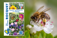 Mélange de graines de fleurs pour abeilles - Jardinage enfants - 10doigts.fr