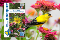 Mélange de graines de fleurs pour oiseaux - Jardinage enfants - 10doigts.fr