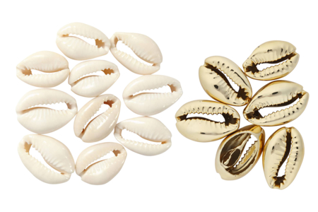 Coquillages Cauri blancs et dorés - 18 pièces - Bijoux de plage – 10doigts.fr
