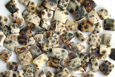 Perles coquillages nacrées - 10doigts.fr