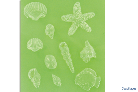 Push Molds coquillages - 10doigts.fr