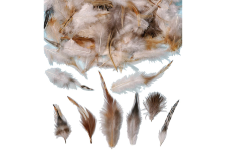 Set de 350 plumes naturelles de tailles assorties - 10doigts.fr