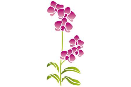 Pochoir Déco adhésif repositionnable Orchidée - 10doigts.fr