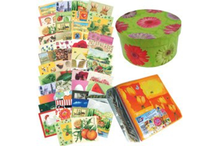 Méga pack de 50 serviettes - 10doigts.fr