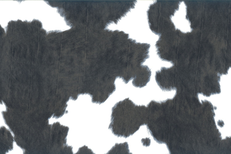 Décopatch N° 369 - 10doigts.fr