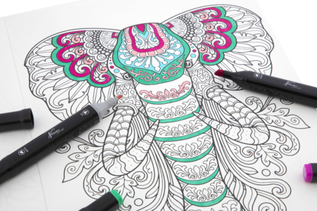 coloriages animaux spécial marqueurs alcoool - Coloriage – 10doigts.fr