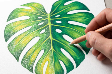 feuille monstrea blender - Accessoires de dessin Beaux-Arts – 10doigts.fr