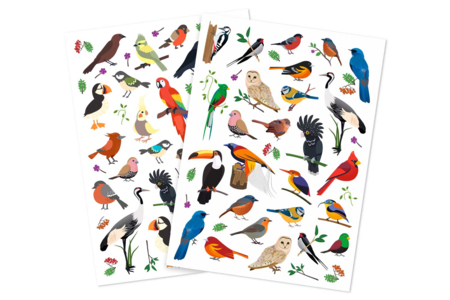 Gommettes "Oiseaux du Monde" - 1 set (2 planches) - Des gommettes animaux pour créer et apprendre dès la maternelle – 10doigts.fr