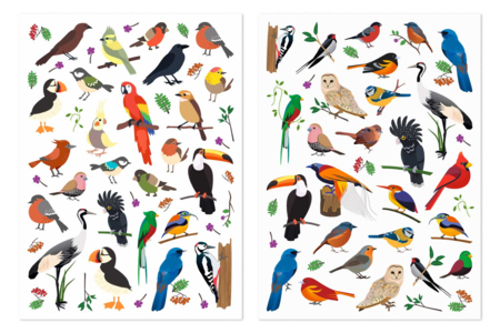 Gommettes "Oiseaux du Monde" - 3 sets (6 planches) - Des gommettes animaux pour créer et apprendre dès la maternelle – 10doigts.fr