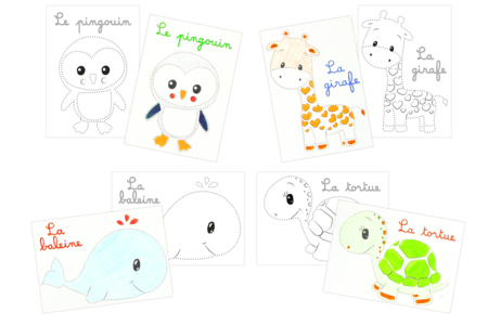 Super Pack de poinçonnage - 30 cartes animaux + matériel - Kits activités carteries – 10doigts.fr