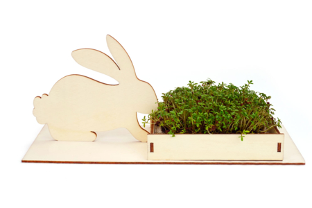 Kits 6 jardinières lapin + cresson à planter - Kits activités Pâques – 10doigts.fr