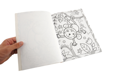 livre de coloriage animaux - Livres de coloriage et dessins – 10doigts.fr
