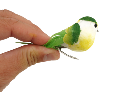 oiseau éaliste sur pince - Décorations à coller – 10doigts.fr