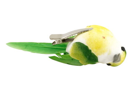 oiseau réaliste coloré - Décorations à coller – 10doigts.fr