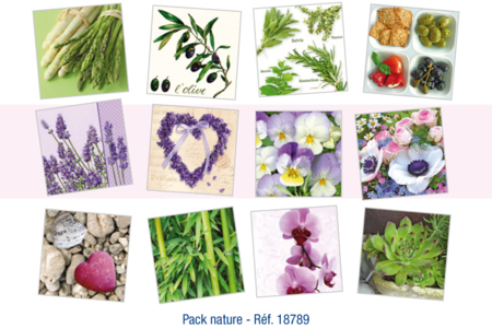 Pack de 36 serviettes "Nature" + cadeau d'une brosse spéciale vernis-collages - 10doigts.fr