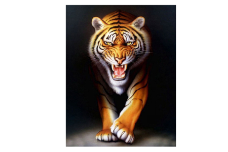 Peinture au numéro "Tigre" - 40 x 50 cm  - Peinture par numéros – 10doigts.fr