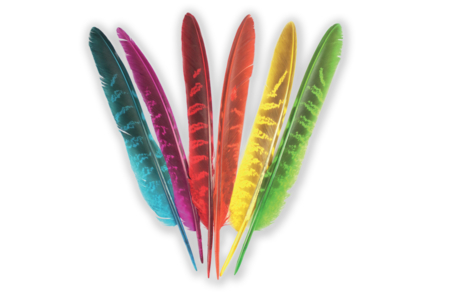 Plumes 6 couleurs - 24 plumes - Plumes décoratives – 10doigts.fr