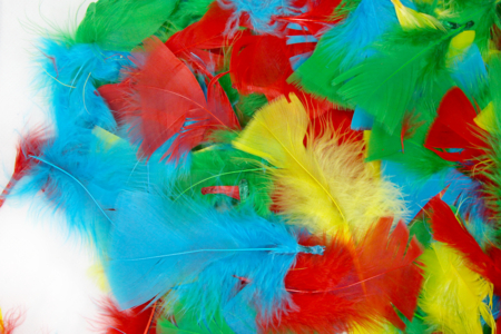 Plumes couleurs vives - environ 270 plumes - Plumes décoratives – 10doigts.fr