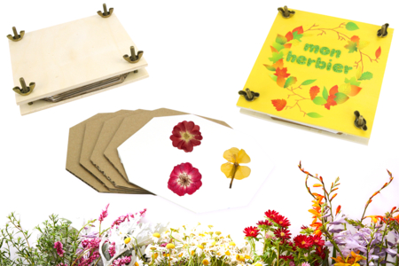 Presse à fleurs et feuilles - Kits activités Nature – 10doigts.fr