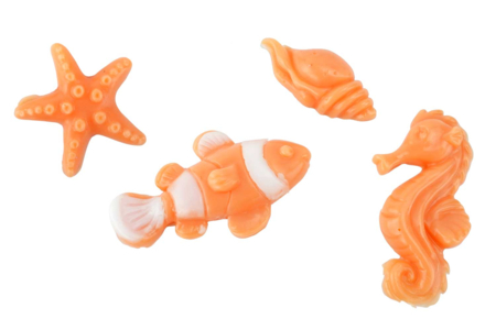 savons coquillages poissons - Moules pour plâtre, savon, béton ... – 10doigts.fr