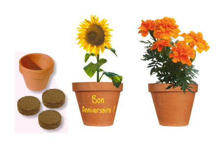 Set "Horticulteur" - 6 pots terre cuite  + terreau - Jardinage enfants – 10doigts.fr