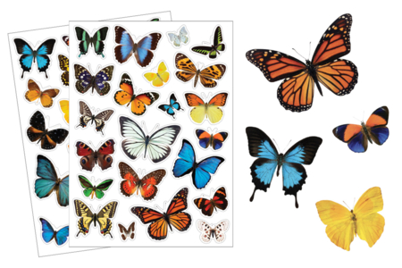 Gommettes papillons réalistes - 44 pcs - Gommettes Réalistes – 10doigts.fr
