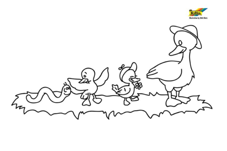 Coloriage Canard 26 – 10doigts.fr