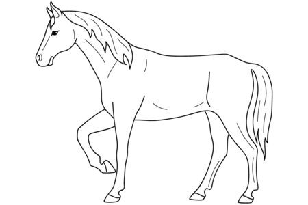 Coloriage Cheval 08 – 10doigts.fr